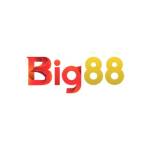 Big88 Net Profile Picture
