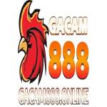 gacam888 online Profile Picture