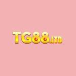 Tg88 Ltd Profile Picture