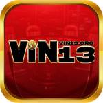 vin13org Profile Picture