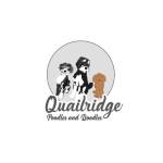 quailridgepoodlesanddoodles Profile Picture