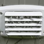 Bowie Dryer Vent Cleaning Profile Picture