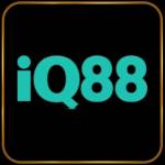iq88 me Profile Picture