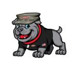 Semper Fi Heating and Cooling Profile Picture