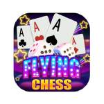 Flying Chess Game Profile Picture