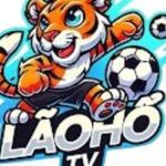 Lão Hổ TV Profile Picture