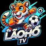 Laohotv dev Profile Picture