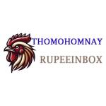 Thomo Hôm Nay Profile Picture