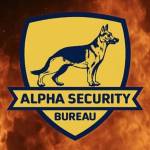 Alpha Security Bureau Profile Picture