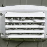 Brea Dryer Vent Cleaning Profile Picture
