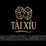 Gametaixiu agency Profile Picture