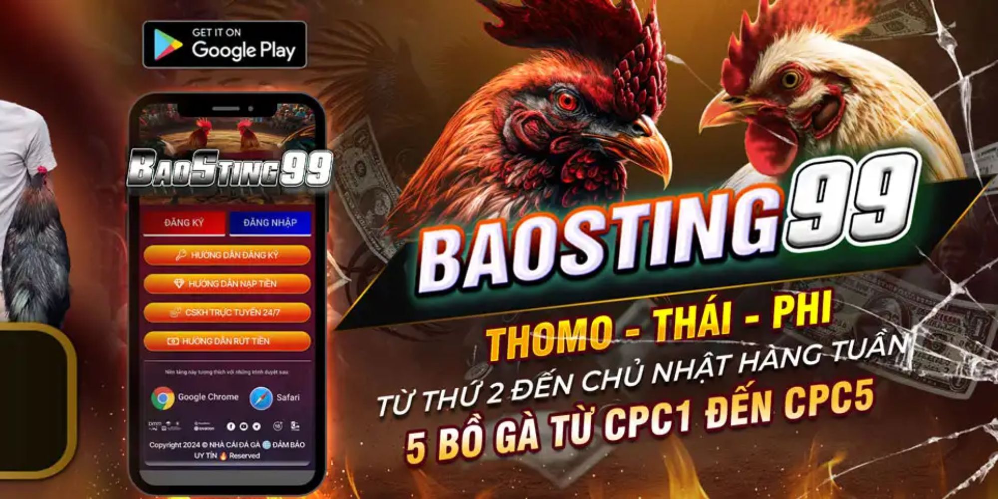 BAO STING Cover Image