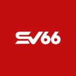 SV66 it com Profile Picture