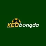 KÈO BÓNG ĐÁ Profile Picture