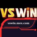 Vswin Profile Picture