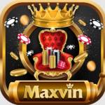 MAXVIN Profile Picture