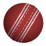all paanel Profile Picture