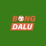 Nhà cái Bongdalu Profile Picture