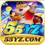55 yz Profile Picture