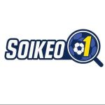 Soi kèo nhà cái Profile Picture