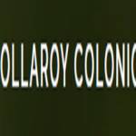 COLLAROY COLONICS Profile Picture