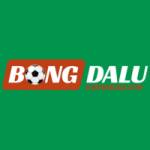 bong dalu Profile Picture
