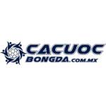 Cá cược bóng đá Profile Picture