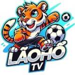 laoho tv Profile Picture