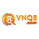 VN Q8 Profile Picture