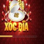 Xóc đĩa Profile Picture