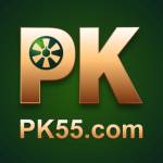 PK55 Profile Picture