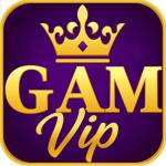 GameVip Profile Picture