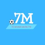 7m score Profile Picture