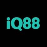 IQ88 in Profile Picture