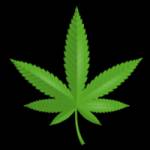 Marijuana Dispensary Near Me Profile Picture