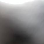 Bugs Web Profile Picture