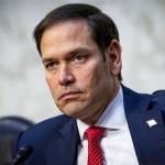 Jack Rubio Profile Picture