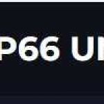 VIP66 UNO Profile Picture