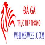 Đá Gà Trực Tiếp Thomo Profile Picture