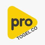 ProtoGel Bandar Togel Online Profile Picture