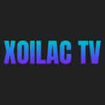 Xoilac TV Trực Tiếp Bóng Đá Hôm Nay Profile Picture
