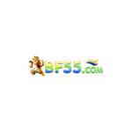 bf55net Profile Picture