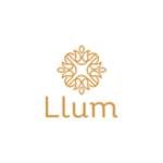 llumdiffusers Profile Picture