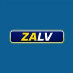 Zalv city Profile Picture