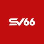 SV66 marketing Profile Picture
