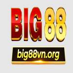 BIG88 Profile Picture