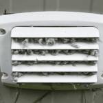 Buffalo Grove Dryer Vent Cleaning Profile Picture