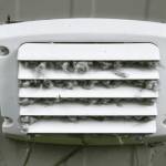 Concord Dryer Vent Cleaning Profile Picture