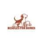 beaglesforhomes Profile Picture