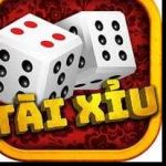 Tài xỉu Profile Picture